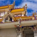 How Your Chinese Zodiac Sign Influences Your Romantic Destiny in the United States