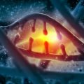 The Structure of Tarot vs. Oracle Decks: Major Arcana, Minor Arcana, and Beyond