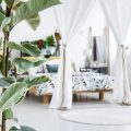 Bedroom Feng Shui: Creating a Restful Sanctuary for Better Sleep and Relationships