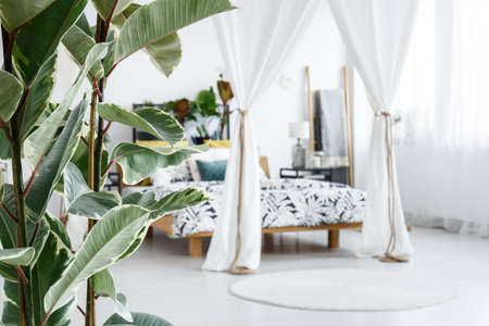 Bedroom Feng Shui: Creating a Restful Sanctuary for Better Sleep and Relationships