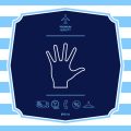 The Four Elements in Palmistry: Connecting Hand Types to Earth, Air, Fire, and Water