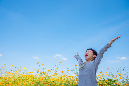 Feng Shui for Health: Creating a Home That Nurtures Wellness and Mindfulness