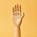 Palmistry for Career Guidance: What Hand and Finger Types Say About Your Work Life