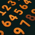 The Rabbit in Chinese Astrology: Good Fortune, Colors, and Numbers Explained for Americans