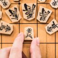 Chinese Zodiac and Health: Insights for Modern American Wellness