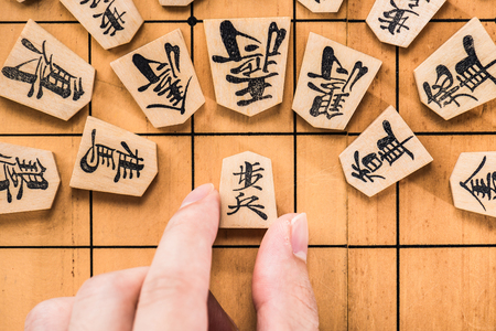 Chinese Zodiac and Health: Insights for Modern American Wellness