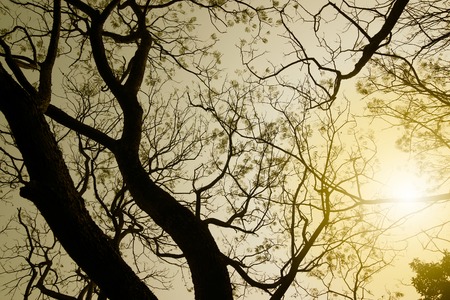 Practical Guide to Memorizing and Recognizing All Heavenly Stems and Earthly Branches