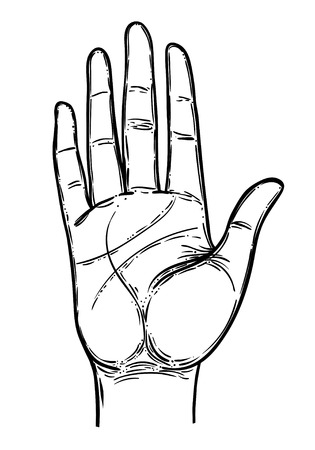 Finger Proportions and Personality: The Psychology Behind Long and Short Fingers