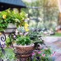 Feng Shui for Garden Spaces: Outdoor Cures and Landscaping Tips