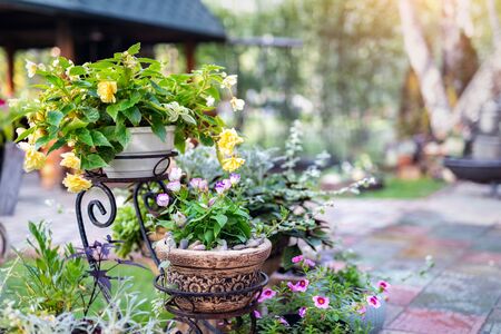 Feng Shui for Garden Spaces: Outdoor Cures and Landscaping Tips